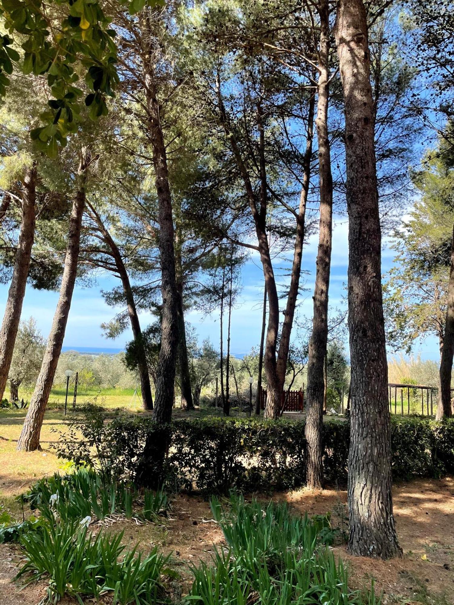 Agriturismo Podere Campalto Campiglia Marittima Exterior foto