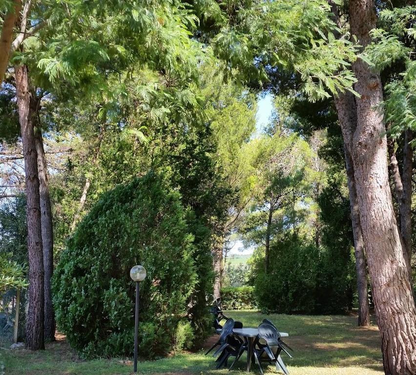 Agriturismo Podere Campalto Campiglia Marittima Exterior foto