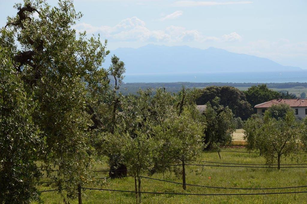 Agriturismo Podere Campalto Campiglia Marittima Exterior foto